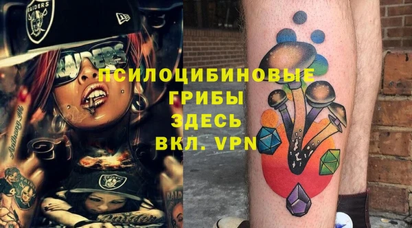 ПСИЛОЦИБИНОВЫЕ ГРИБЫ Кинешма