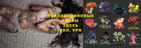 ПСИЛОЦИБИНОВЫЕ ГРИБЫ Кинешма