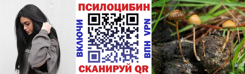 Галлюциногенные грибы GOLDEN TEACHER  Купить где  Сердобск 
